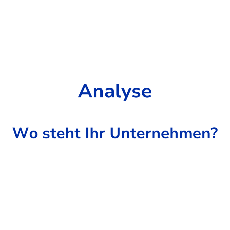 Schritt 1: Analyse Text auf weißem Hintergrund: "Analyse - Wo steht Ihr Unternehmen?"