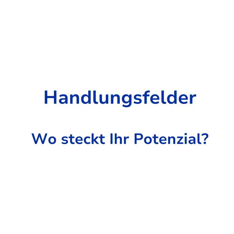 Schritt 2: Handlungsfelder identifizieren Text in blauer Schrift: "Handlungsfelder" und "Wo steckt Ihr Potenzial?"